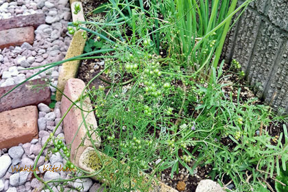 SIMG_20250522_163625