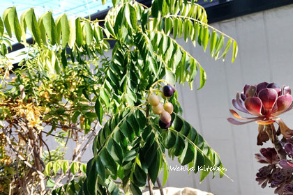 SIMG_20250829_151832