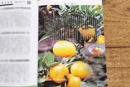 SIMG_20251124_132128