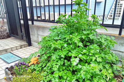 SIMG_20260413_103017