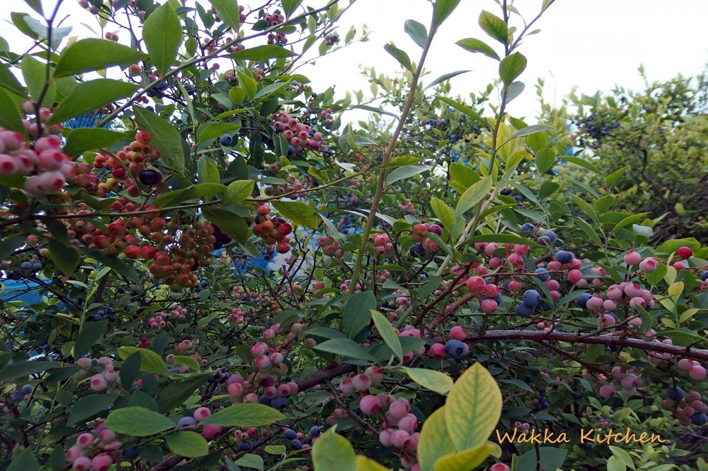 P7280069